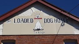 Tarago Loaded Dog