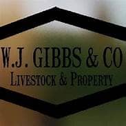 Partner W J Gibbs