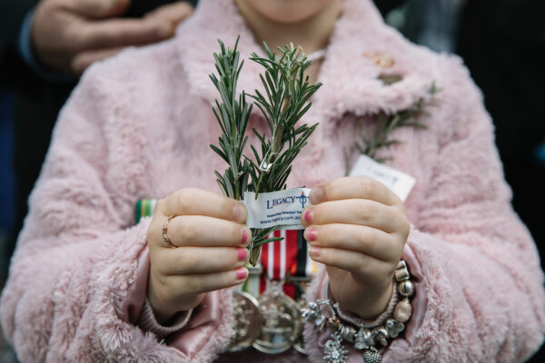 Wear a sprig of rosemary in remembrance on Anzac Day