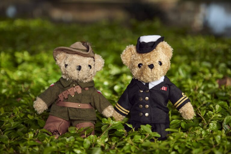 Covid-safe Legacy Bears Picnic for Legacy Week 2020.